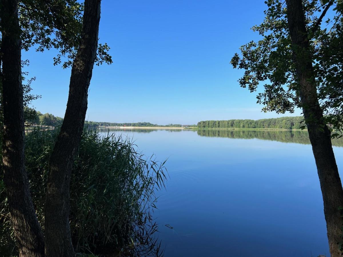 Family & Business Sauna Apartments No1 Lesny Nad Zalewem Cedzyna Unikat - 3 Bedroom With Private Sauna, Bath With Hydromassage, Terrace, Garage, Catering Options Kielce Extérieur photo